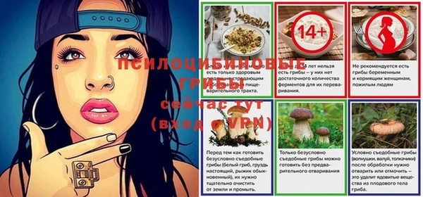 гидропоника Верхний Тагил